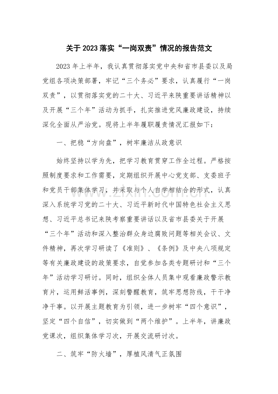 关于2023落实“一岗双责”情况的报告范文.docx_第1页