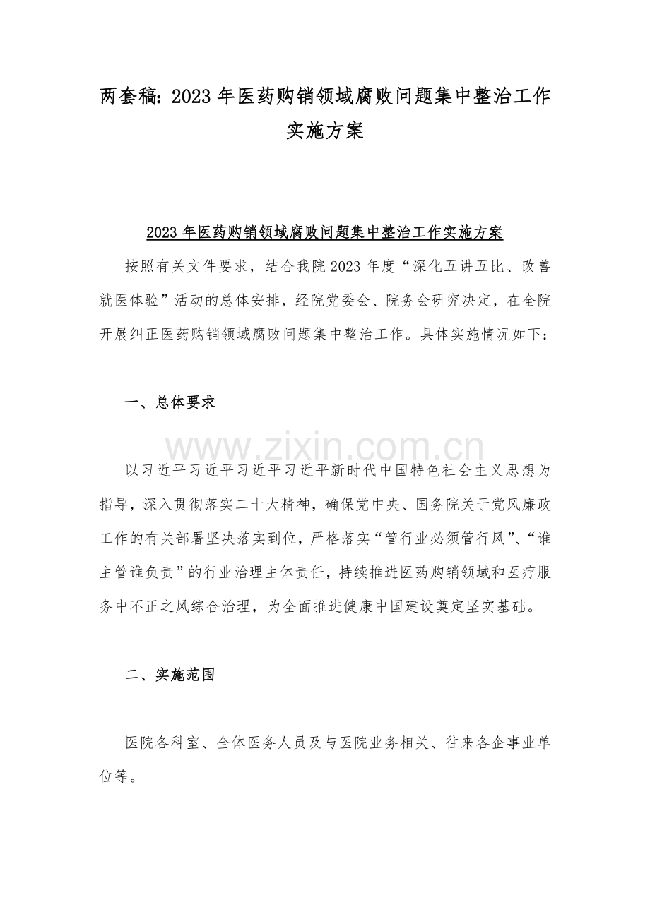 两套稿：2023年医药购销领域腐败问题集中整治工作实施方案.docx_第1页