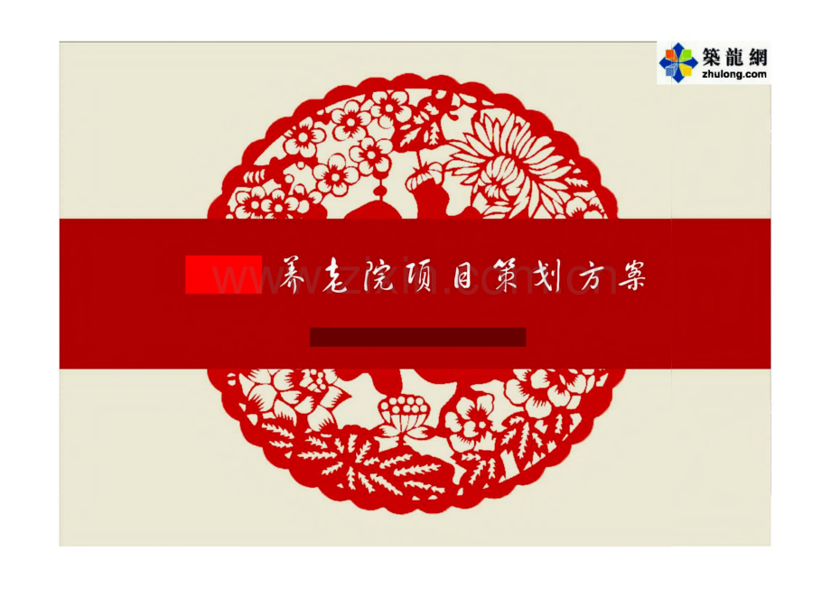 武汉洪山区某养老院项目策划方案.pdf_第1页