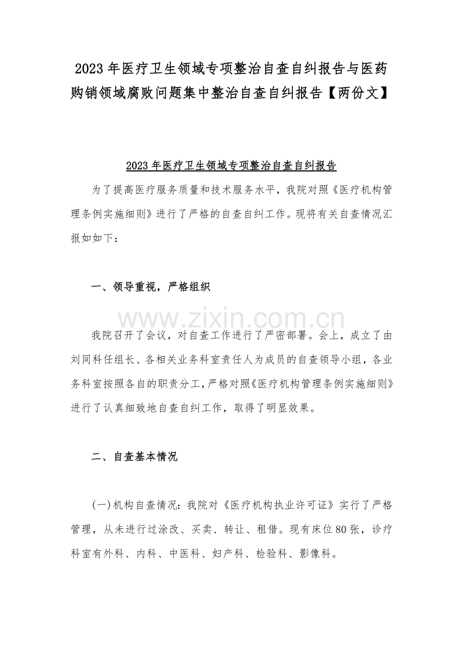 2023年医疗卫生领域专项整治自查自纠报告与医药购销领域腐败问题集中整治自查自纠报告【两份文】.docx_第1页