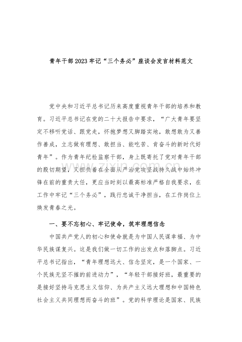 青年干部2023牢记“三个务必”座谈会发言材料范文.docx_第1页