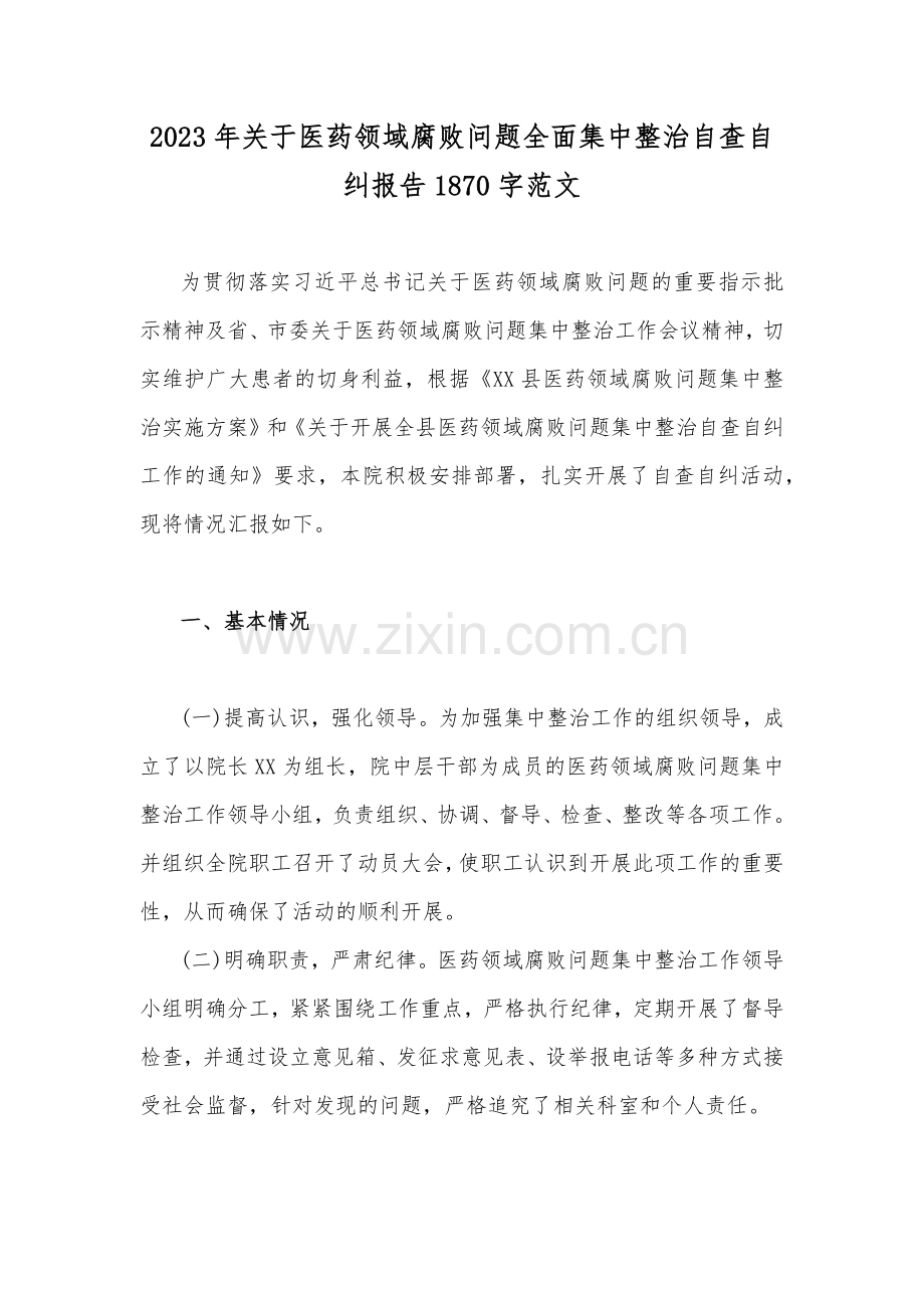 关于2023年全面集中整治医药领域腐败问题自查自纠报告、专项治理行动总结、工作实施方案（9篇）供参考.docx_第2页