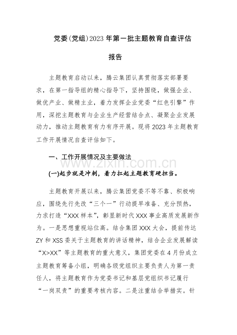党委(党组)2023年第一批主题教育自查评估报告及阶段总结范文.docx_第1页