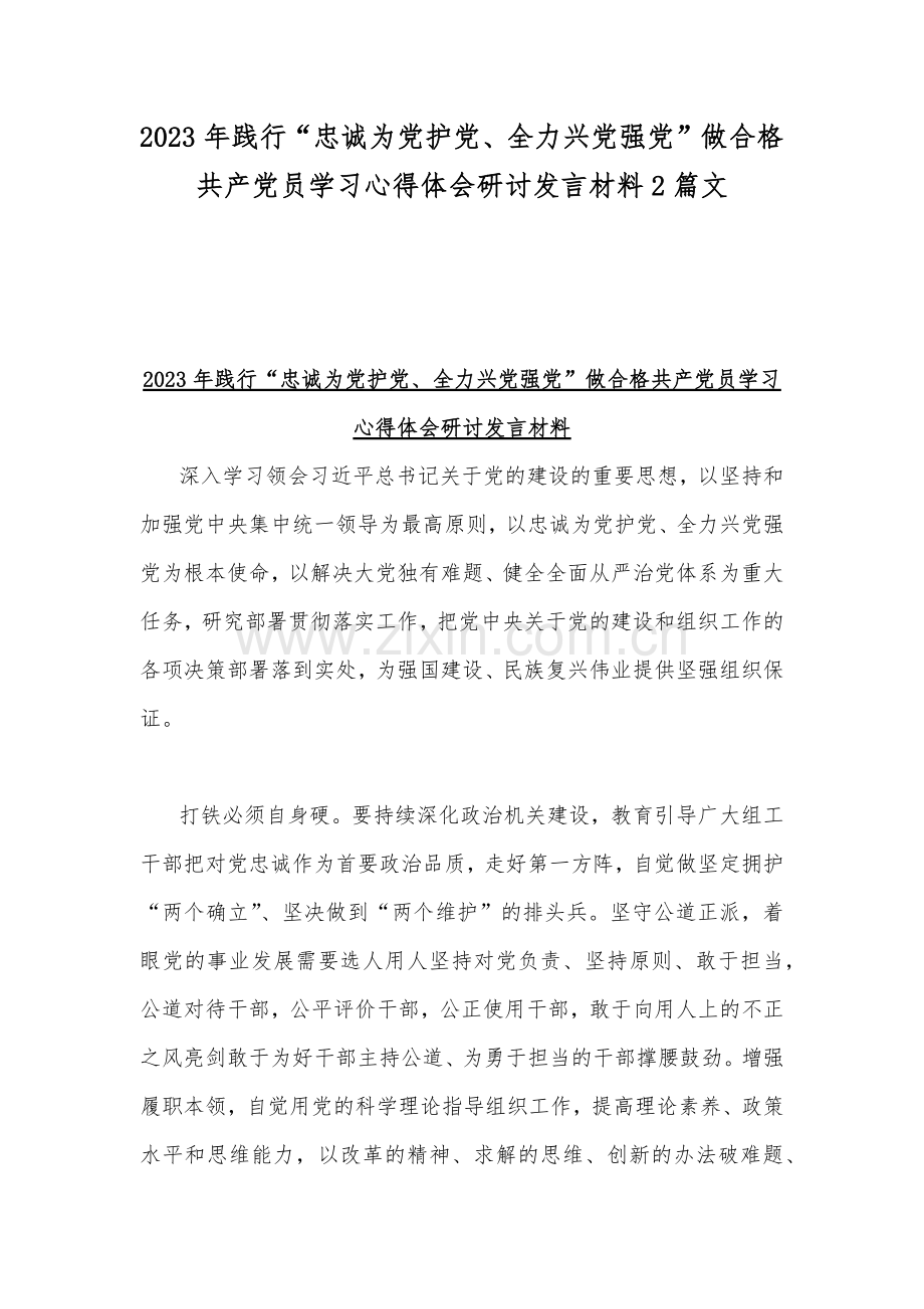 2023年践行“忠诚为党护党、全力兴党强党”做合格共产党员学习心得体会研讨发言材料2篇文.docx_第1页