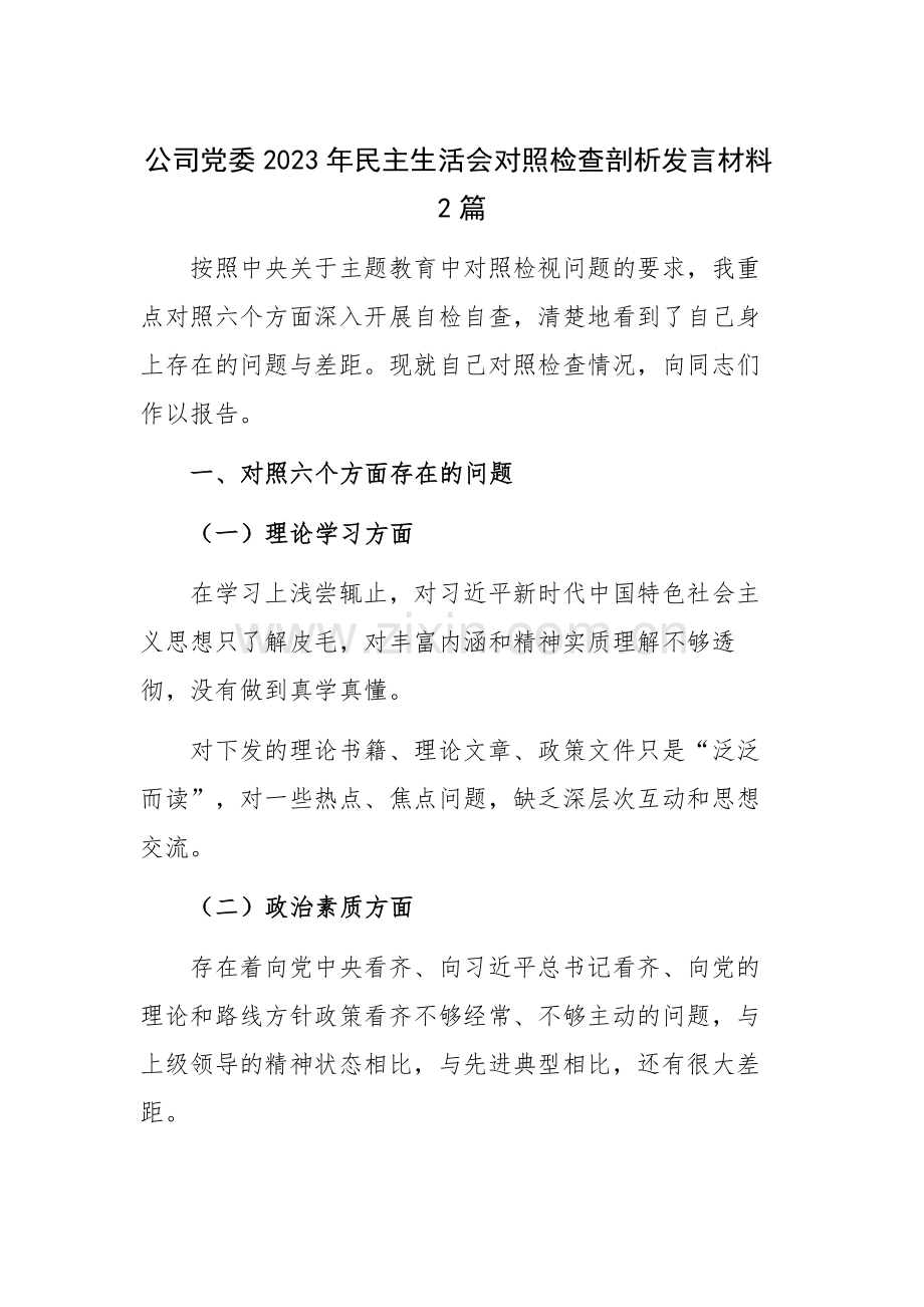 公司党委2023年民主生活会对照检查剖析发言材料2篇.docx_第1页
