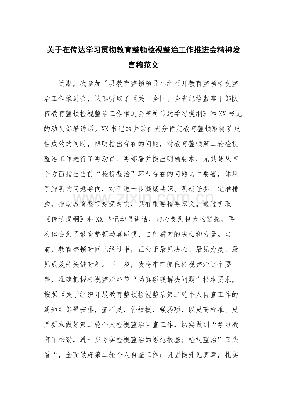 关于在传达学习贯彻教育整顿检视整治工作推进会精神发言稿范文.docx_第1页