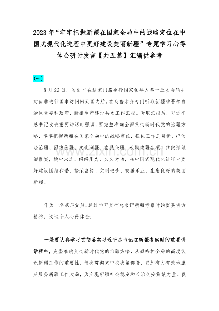 2023年“牢牢把握新疆在国家全局中的战略定位在中国式现代化进程中更好建设美丽新疆”专题学习心得体会研讨发言【共五篇】汇编供参考.docx_第1页