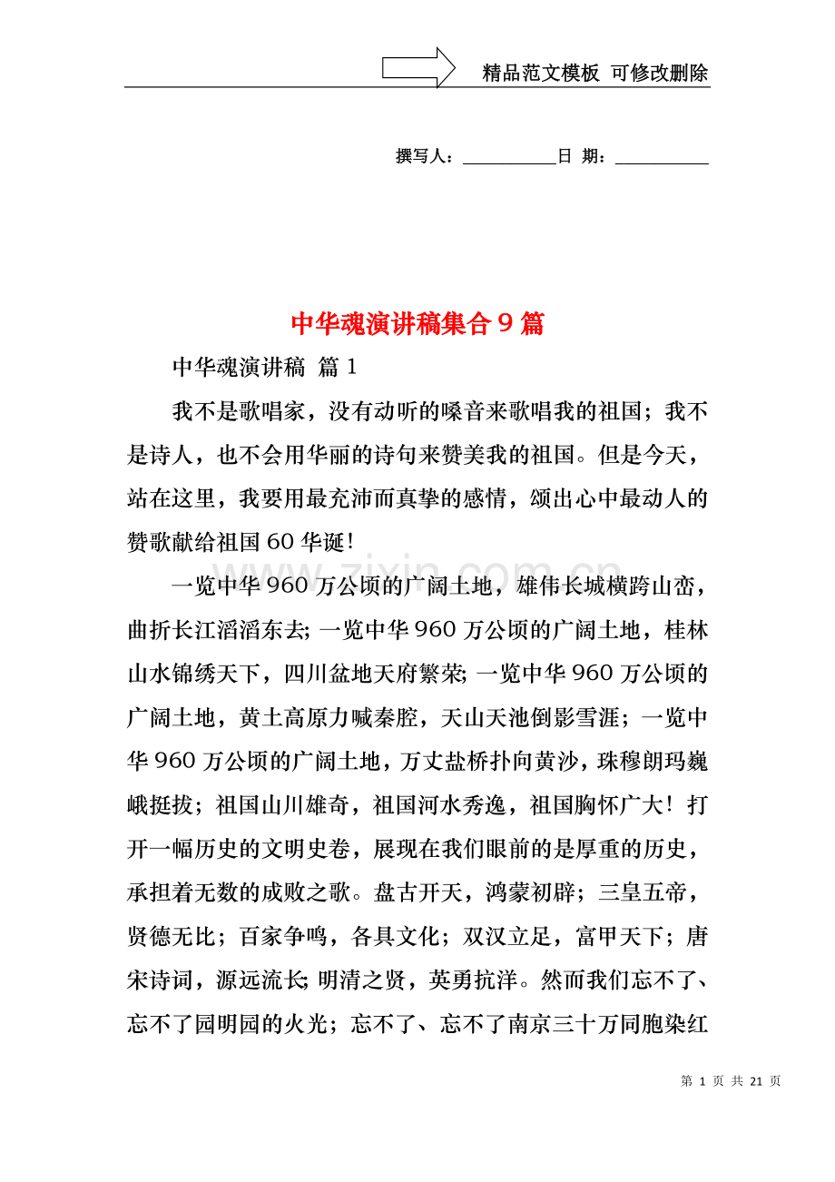 中华魂演讲稿集合9篇1.docx_第1页
