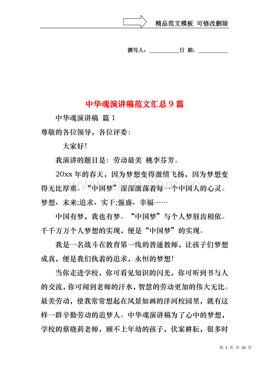 中华魂演讲稿范文汇总9篇.docx_第1页