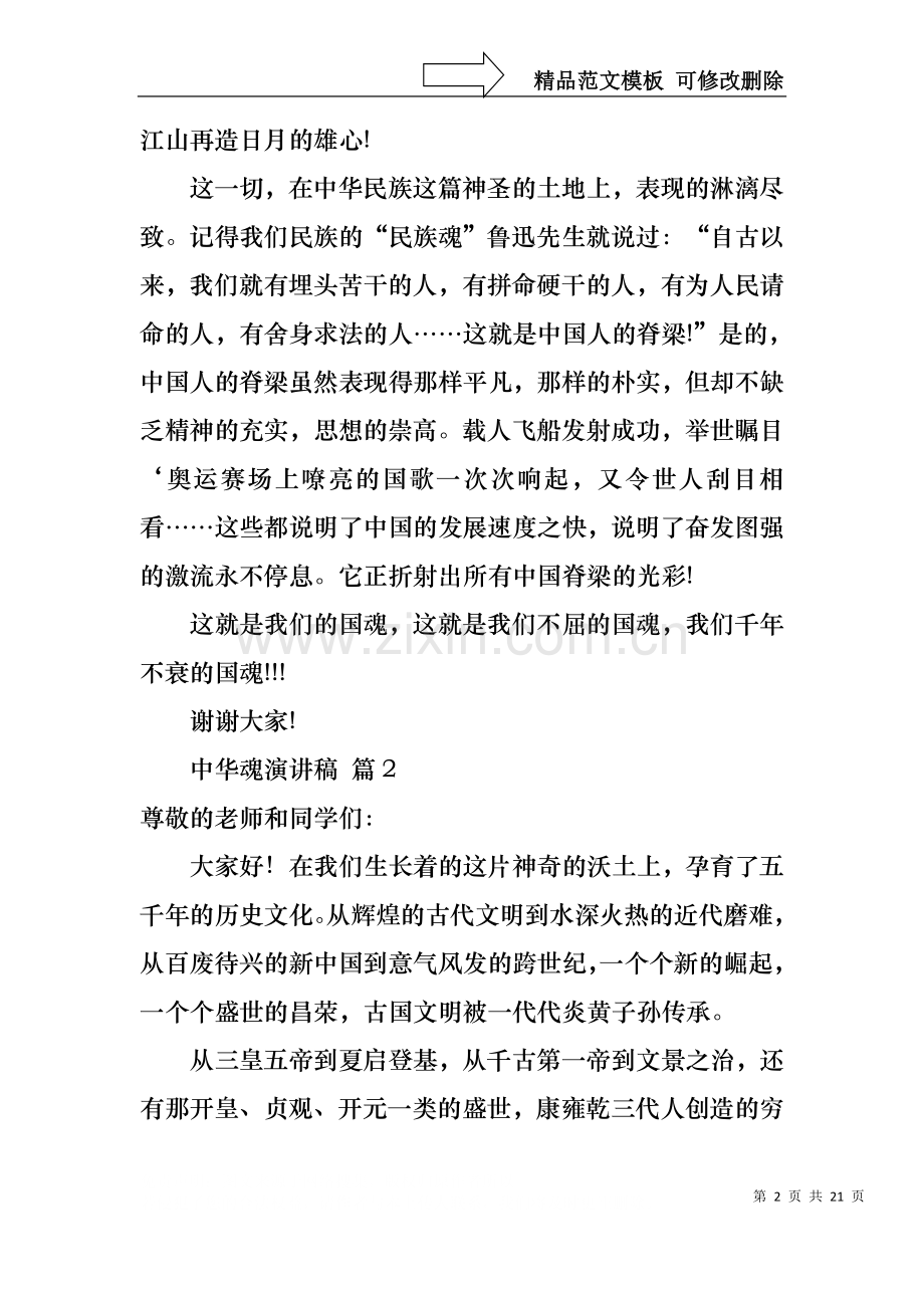 中华魂演讲稿锦集九篇.docx_第2页