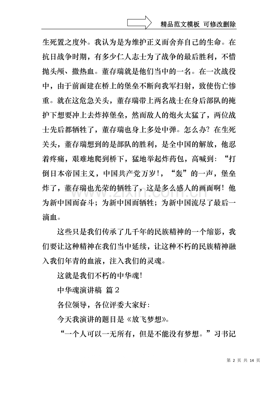 中华魂演讲稿集锦八篇.docx_第2页