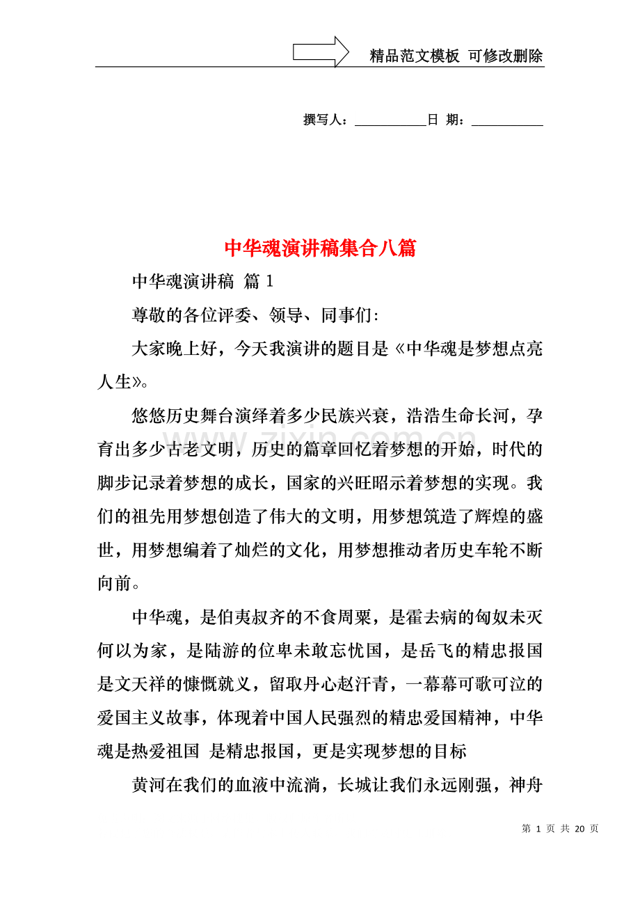 中华魂演讲稿集合八篇1.docx_第1页