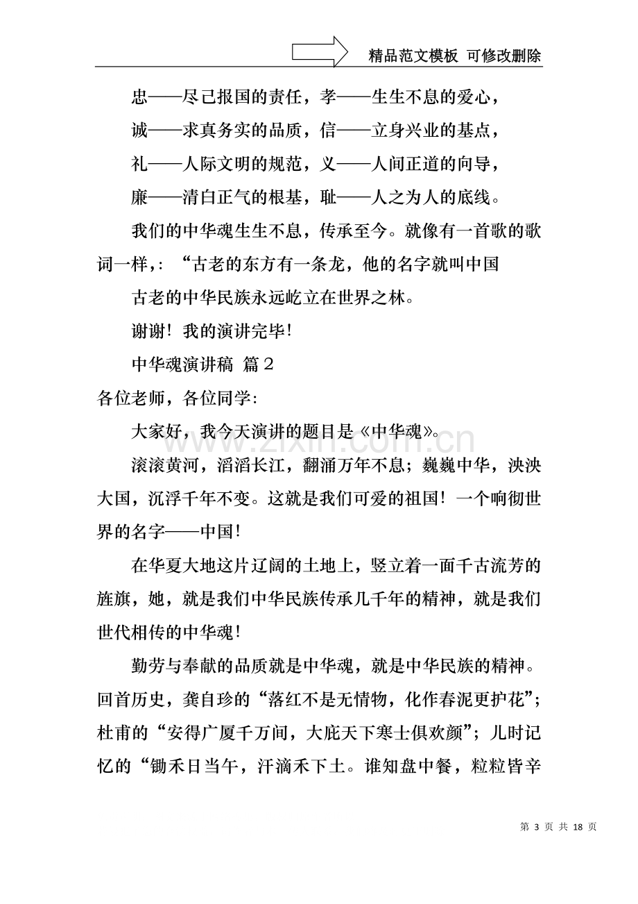 中华魂演讲稿范文集合9篇.docx_第3页