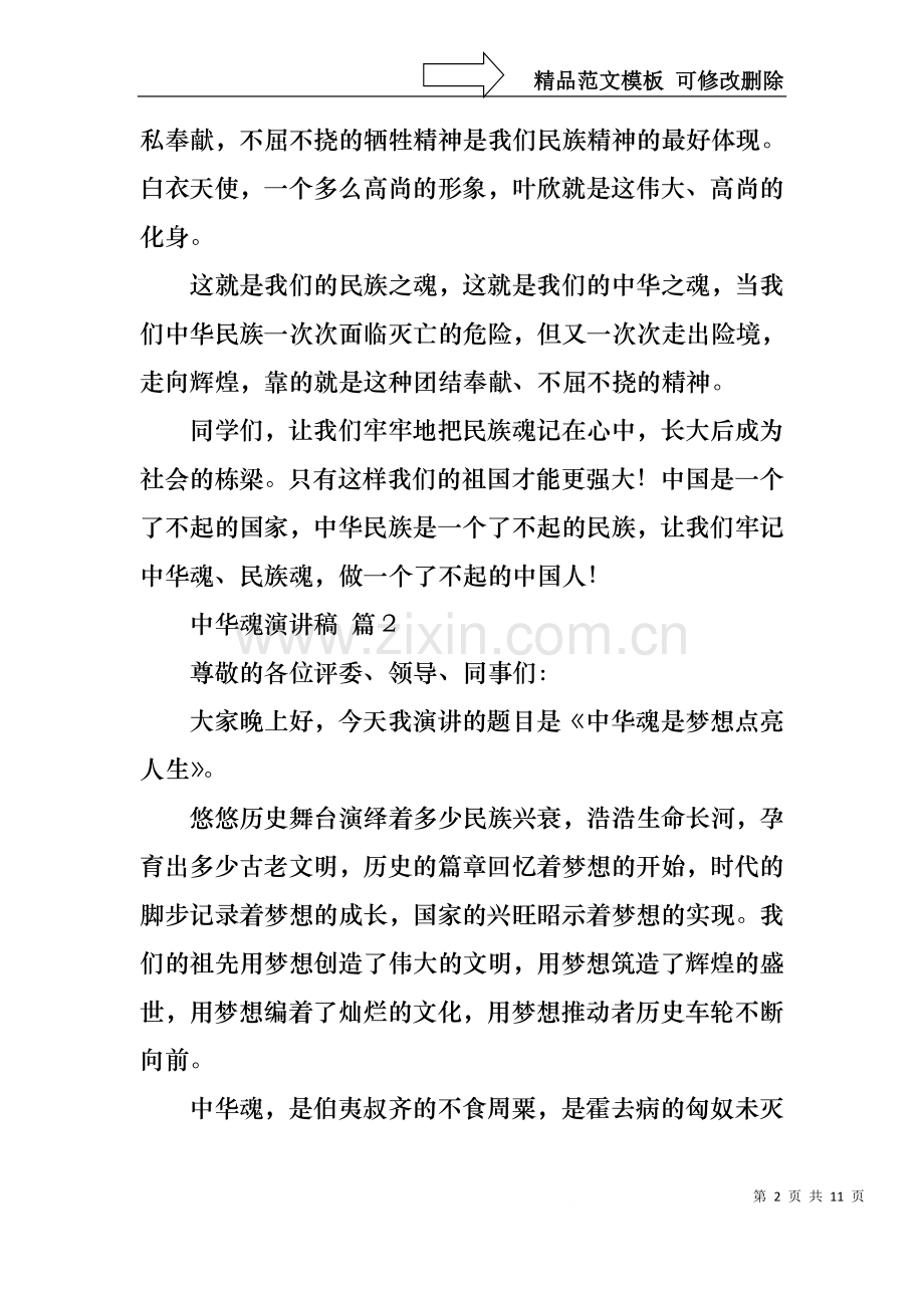 中华魂演讲稿范文合集5篇1.docx_第2页