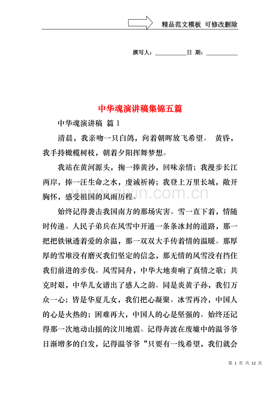 中华魂演讲稿集锦五篇2.docx_第1页