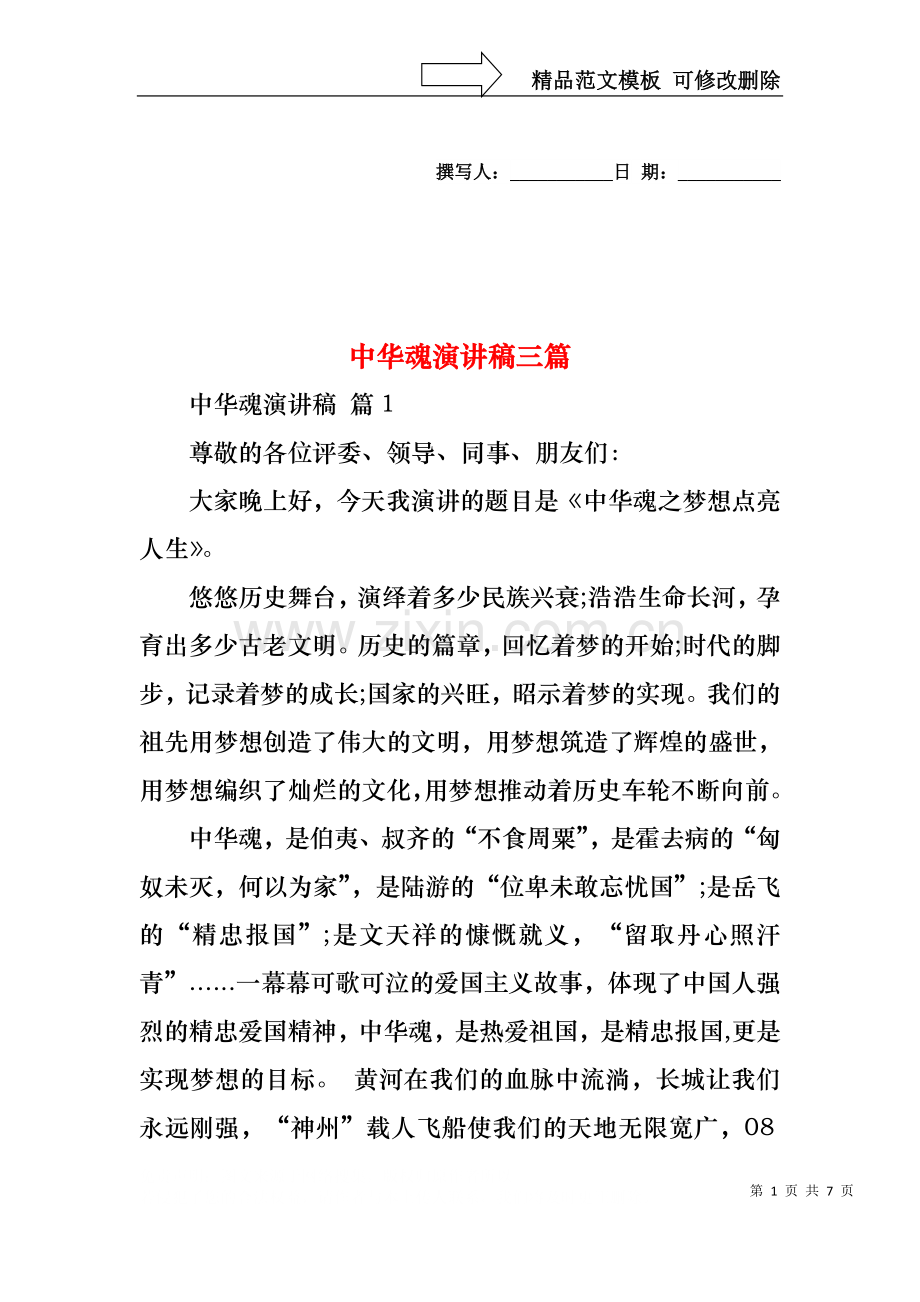 中华魂演讲稿三篇1.docx_第1页