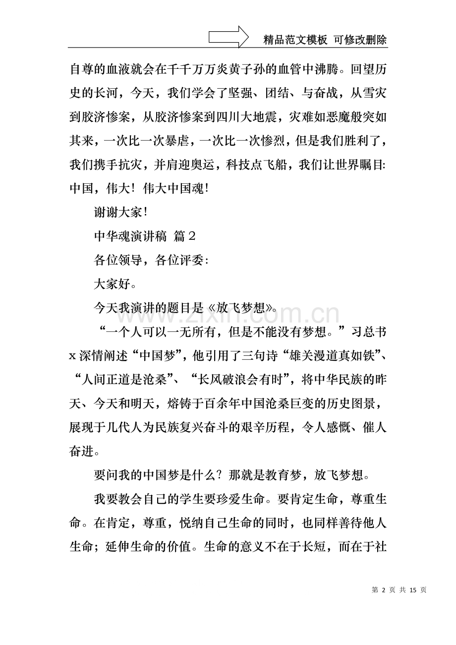 中华魂演讲稿范文集锦七篇1.docx_第2页