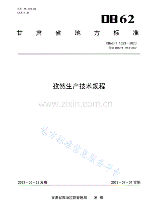 DB62_T 1553-2023-孜然生产技术规程.pdf