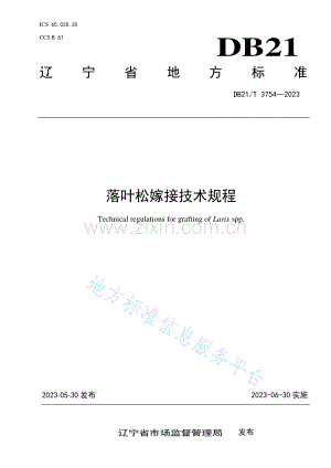 DB21_T 3754-2023落叶松嫁接技术规程.pdf
