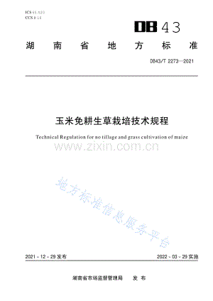 DB43_T 2273-2021玉米免耕生草栽培技术规程.pdf