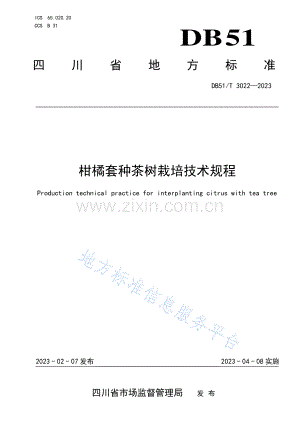 DB51_T 3022-2023柑橘套种茶树栽培技术规程.pdf