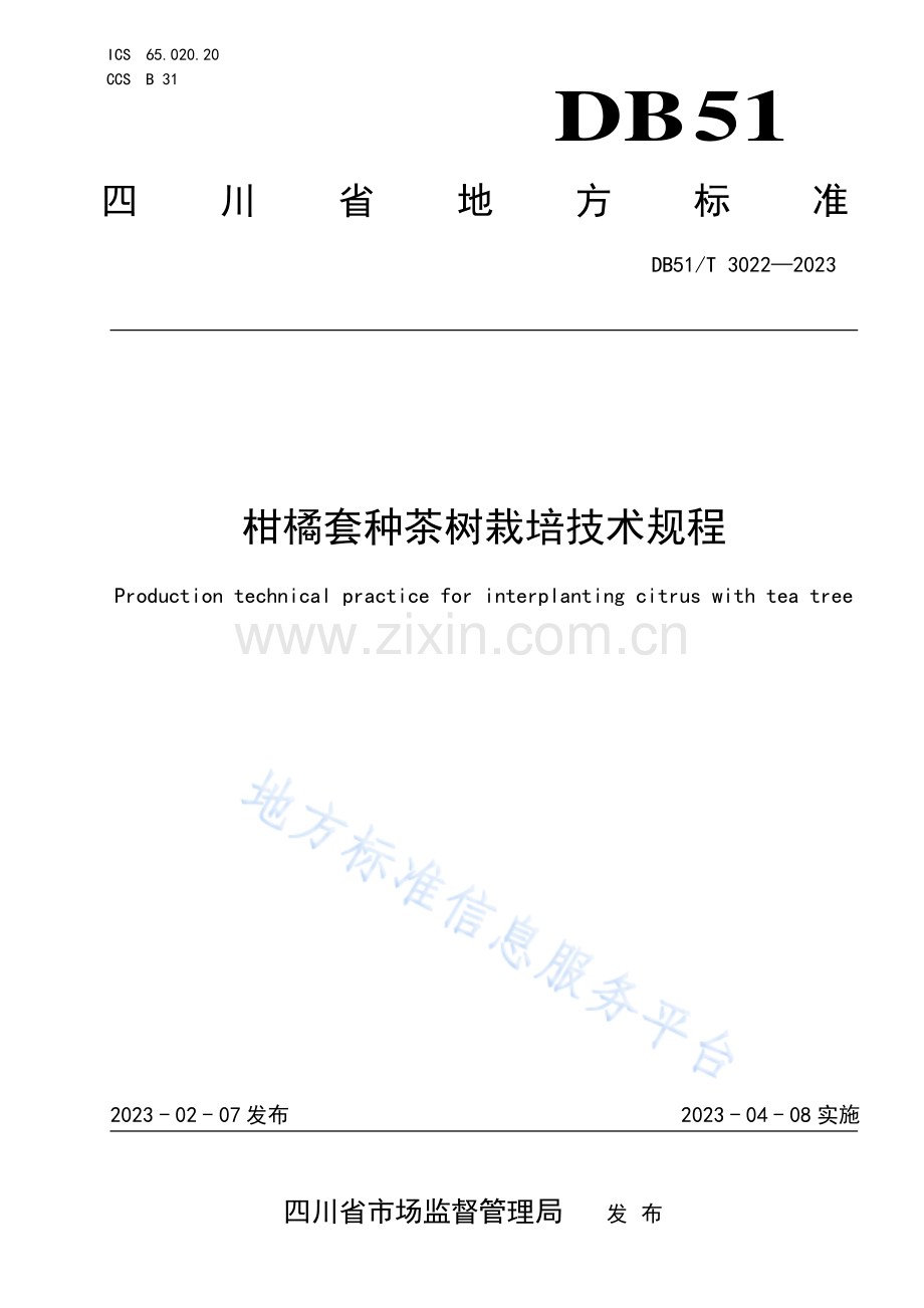 DB51_T 3022-2023柑橘套种茶树栽培技术规程.pdf_第1页