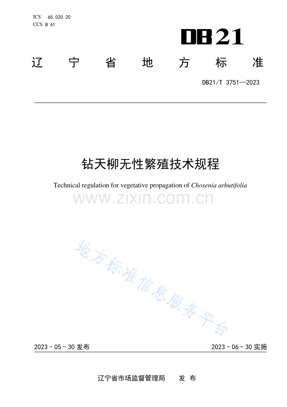 DB21_T 3751-2023钻天柳无性繁殖技术规程.pdf_第1页