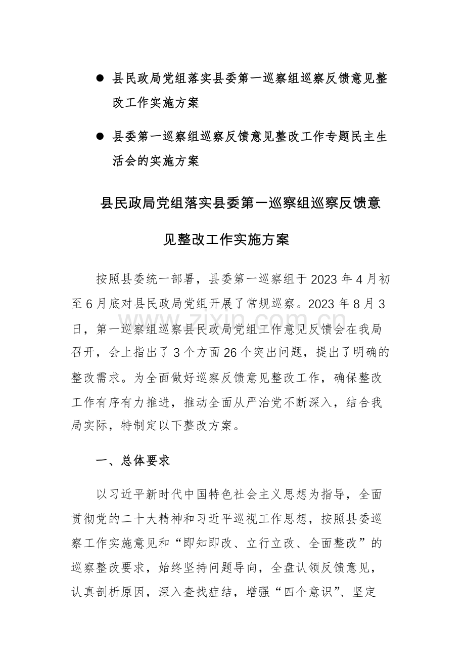 两篇：县委第一巡察组巡察反馈意见整改工作专题民主生活会的实施方案范文.docx_第1页