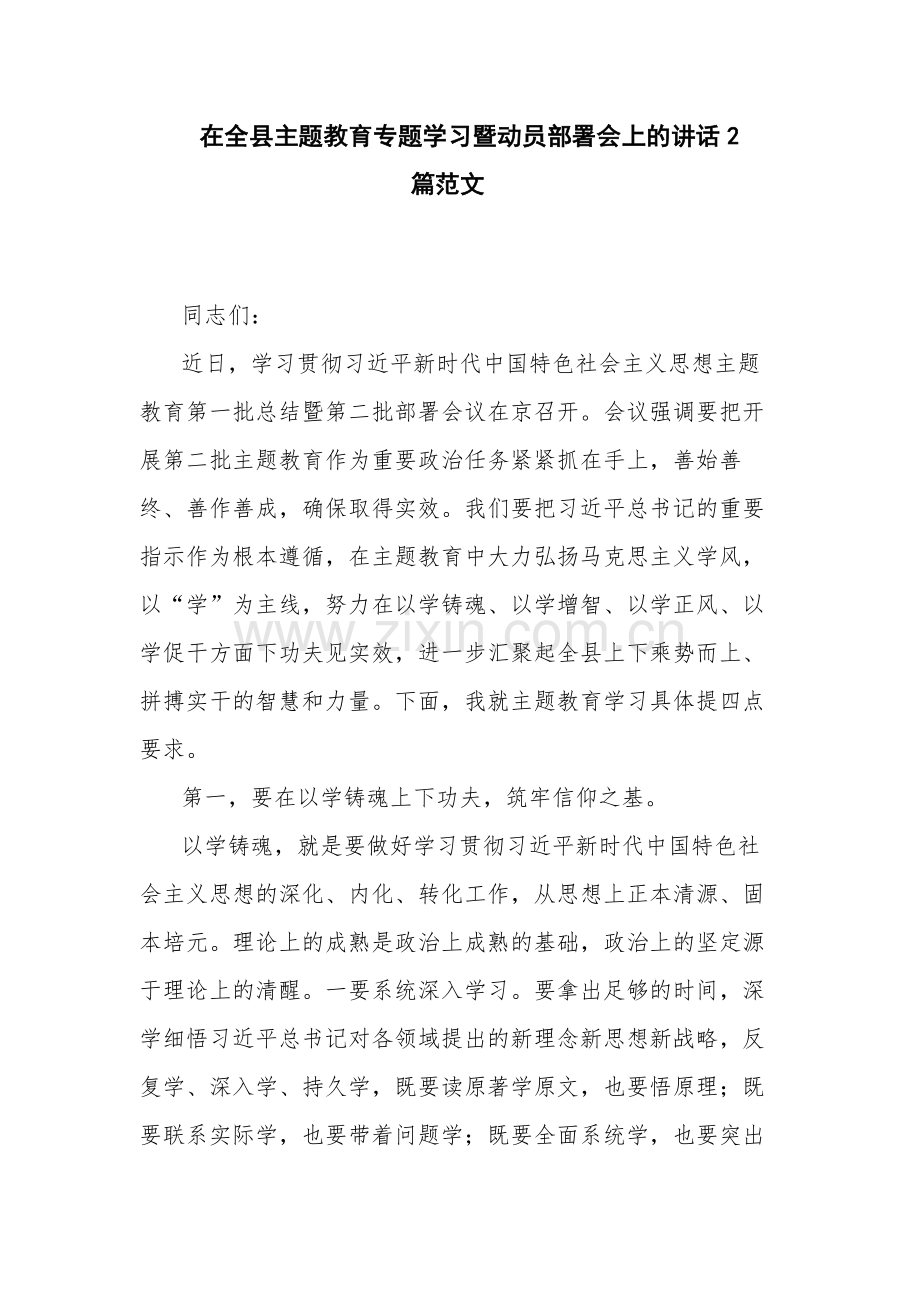 在全县主题教育专题学习暨动员部署会上的讲话2篇范文.docx_第1页