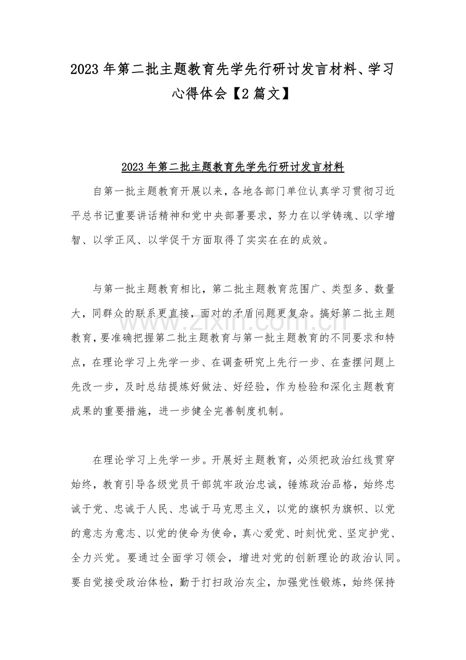 2023年第二批主题教育先学先行研讨发言材料、学习心得体会【2篇文】.docx_第1页