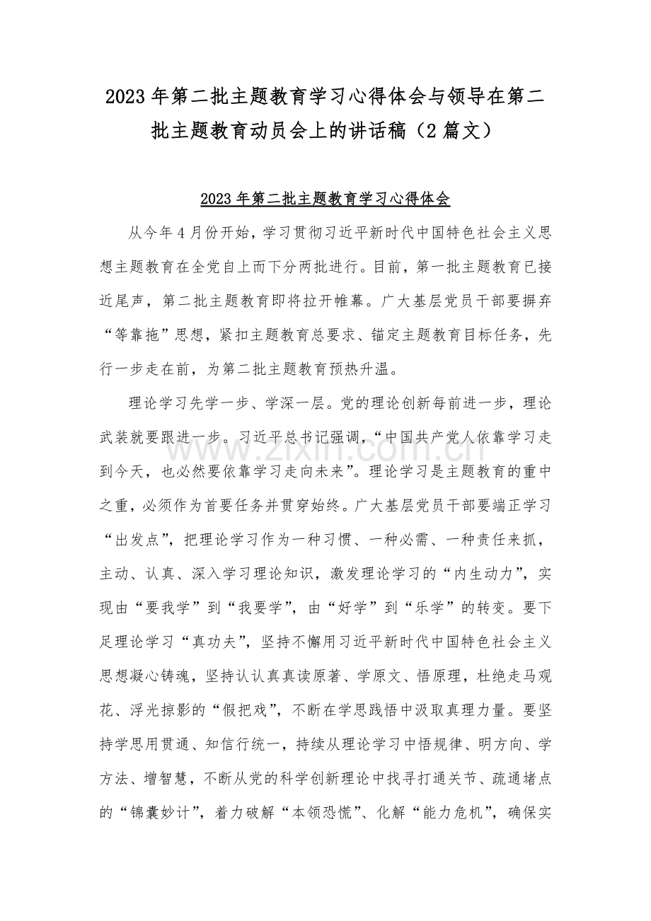 2023年第二批主题教育学习心得体会与领导在第二批主题教育动员会上的讲话稿（2篇文）.docx_第1页