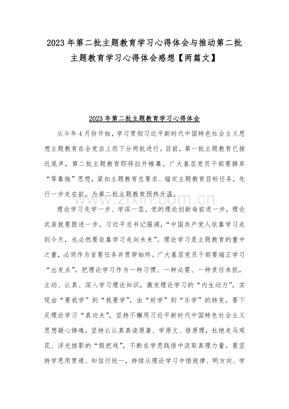 2023年第二批主题教育学习心得体会与推动第二批主题教育学习心得体会感想【两篇文】.docx_第1页