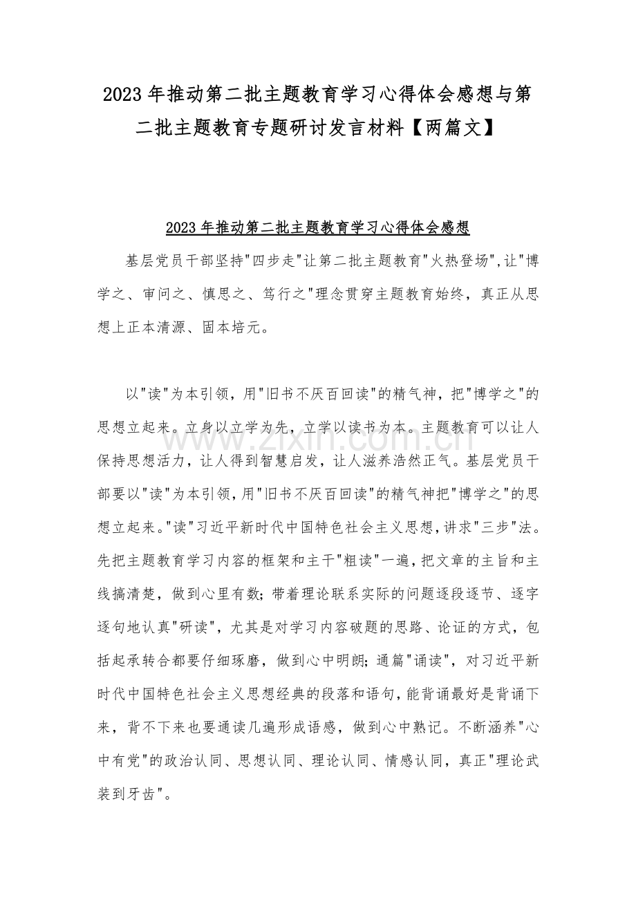 2023年推动第二批主题教育学习心得体会感想与第二批主题教育专题研讨发言材料【两篇文】.docx_第1页