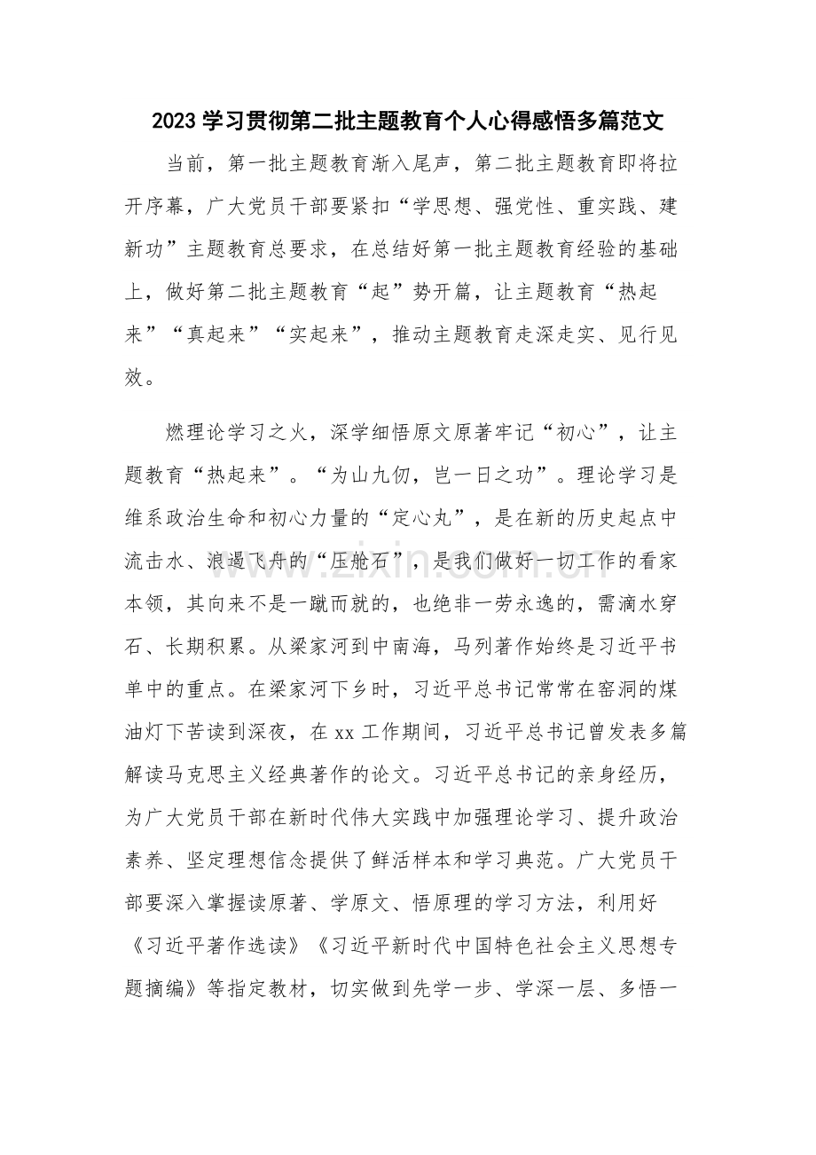 2023学习贯彻第二批主题教育个人心得感悟多篇范文.docx_第1页