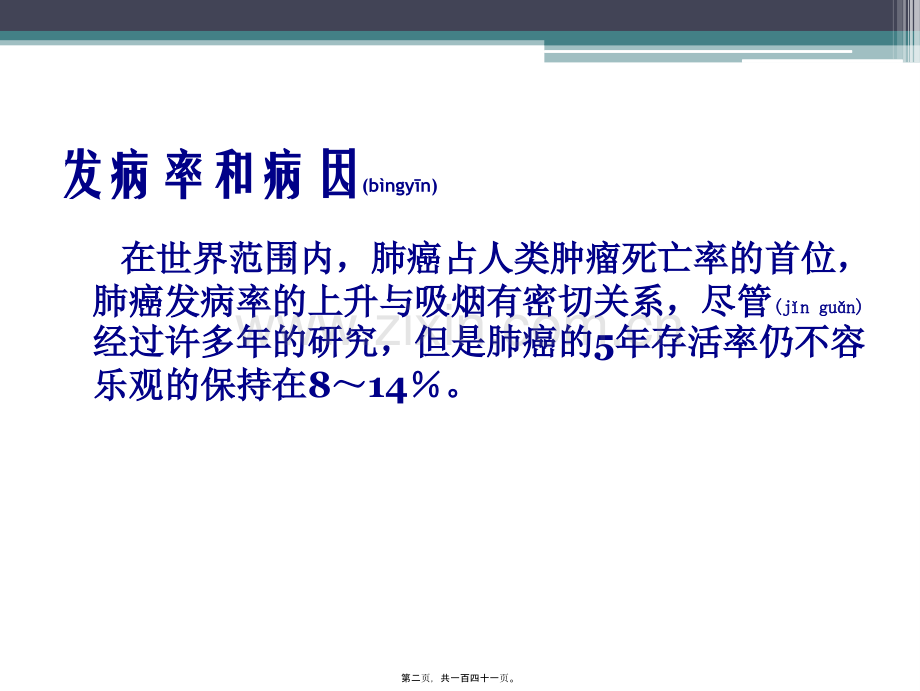 肺癌-(2)11.ppt_第2页