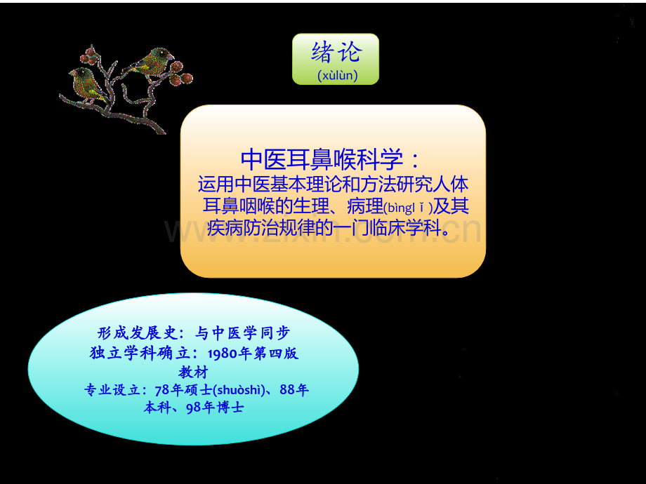 耳鼻喉--总论.ppt_第2页