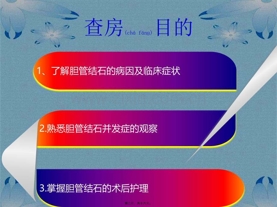 胆管结石教学查房.pptx_第2页