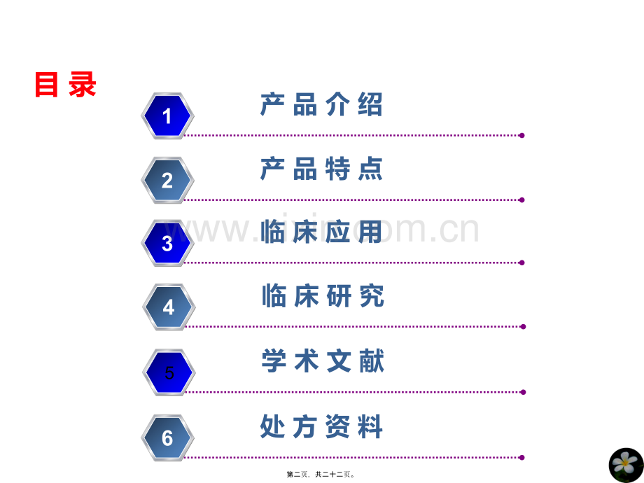 胞二磷胆碱注射液...ppt_第2页