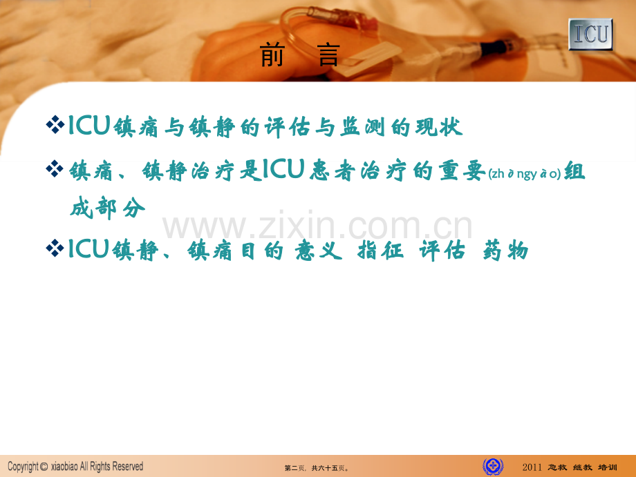 ICU镇静镇痛指南.ppt_第2页