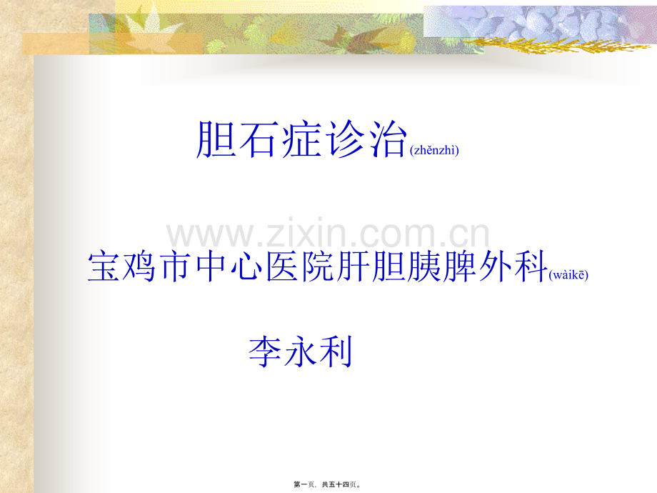 胆石症.ppt_第1页