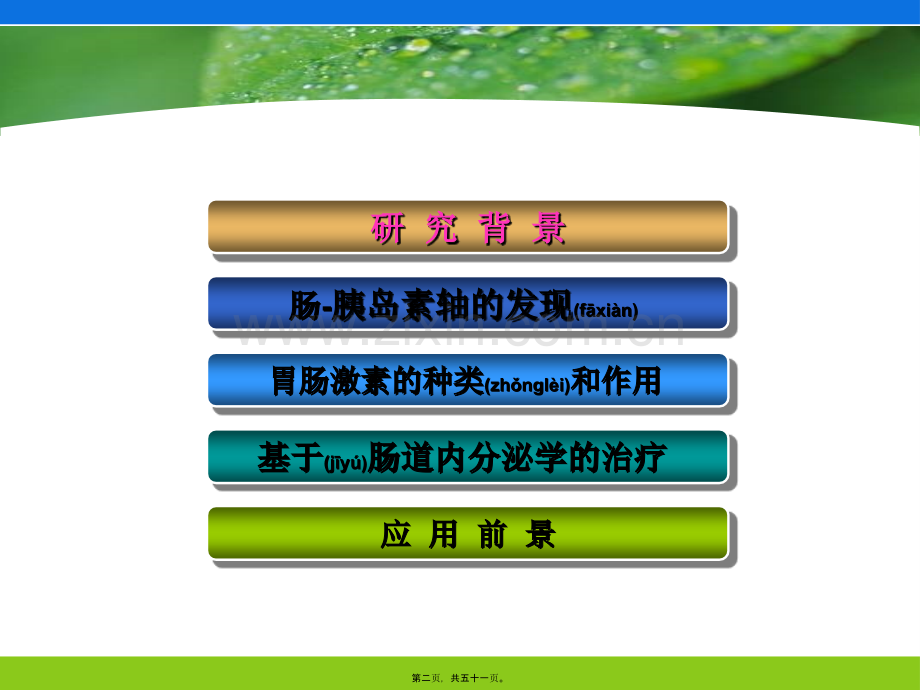 肠道激素在肥胖与糖尿病中的作用-金.ppt_第2页