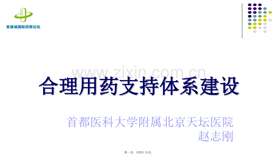 合理用药支持体系建设CN.ppt_第1页
