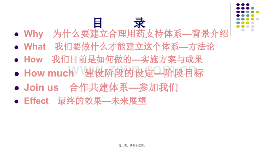 合理用药支持体系建设CN.ppt_第2页