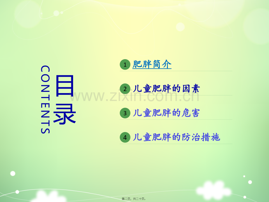 儿童营养与肥胖.ppt_第2页
