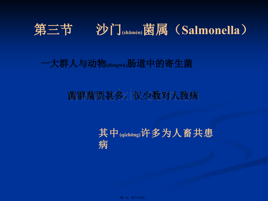 肠杆菌科(沙门菌属).ppt_第1页