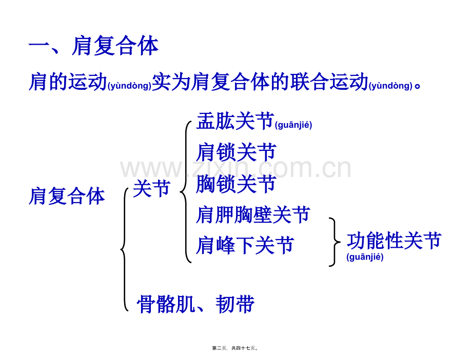 上肢关节运动.ppt_第2页