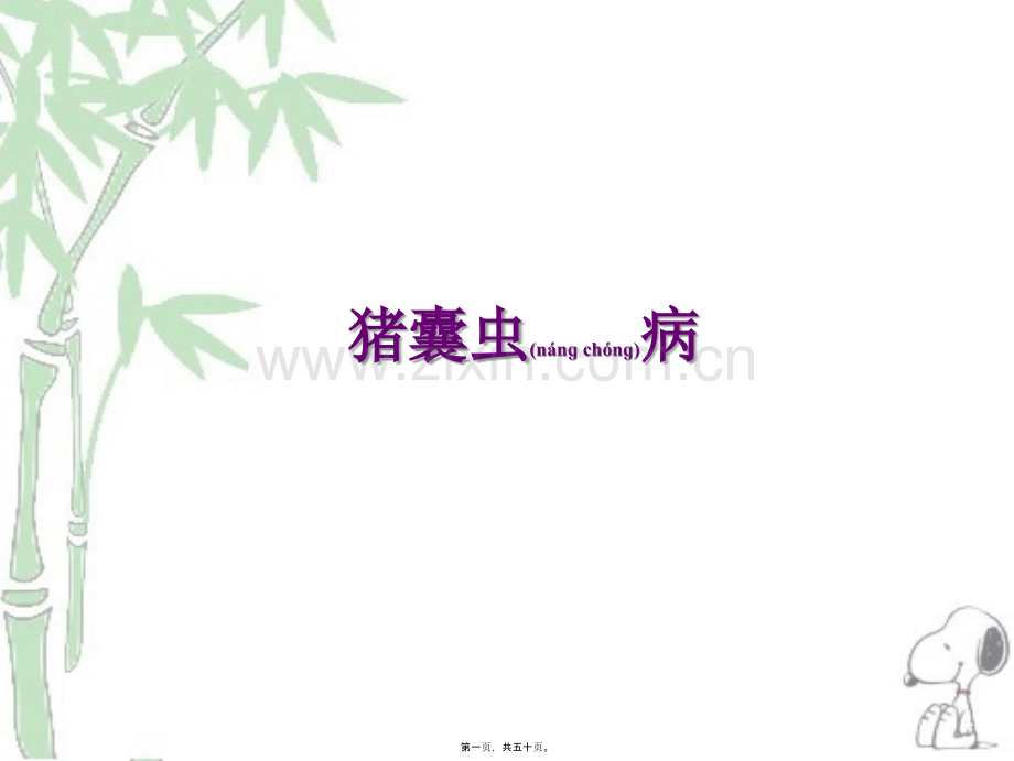 人畜共患寄生虫病的检疫.ppt_第1页