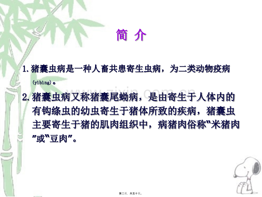 人畜共患寄生虫病的检疫.ppt_第2页