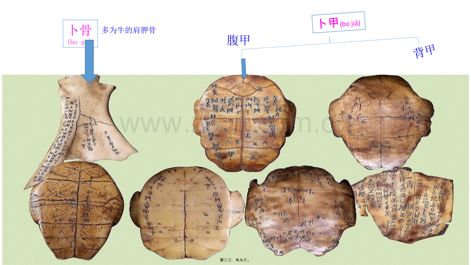 中国古典文献的载体形式之甲骨文.pptx_第2页
