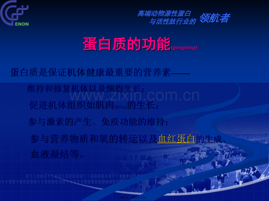 ZPYX-蛋白营养粉GAP818-20110216.ppt_第2页